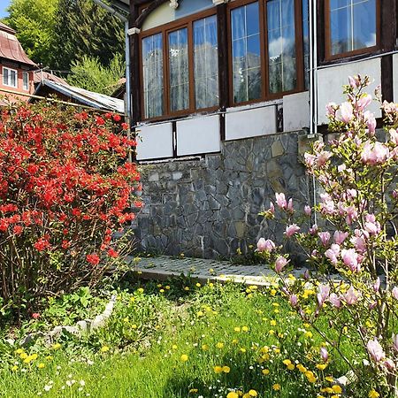 Vila Bradet Busteni Exterior photo
