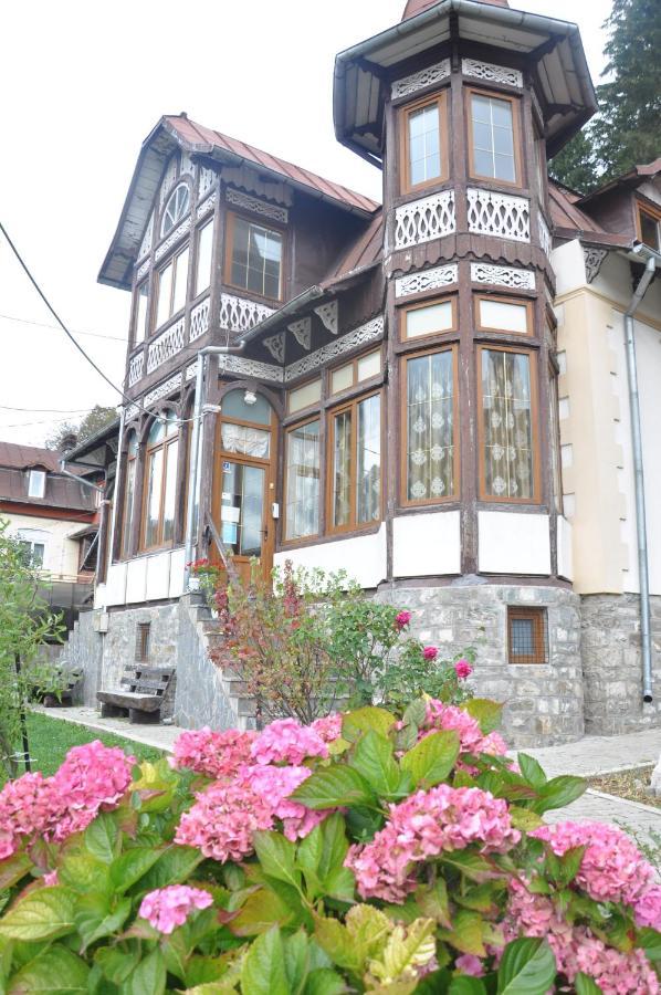 Vila Bradet Busteni Exterior photo