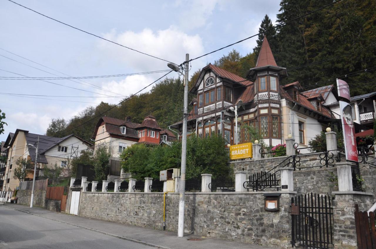 Vila Bradet Busteni Exterior photo