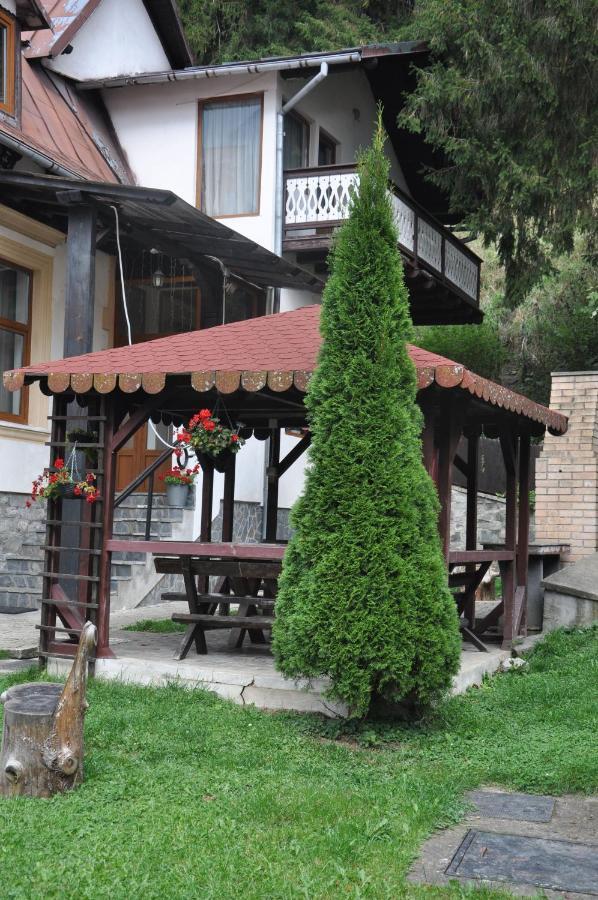 Vila Bradet Busteni Exterior photo