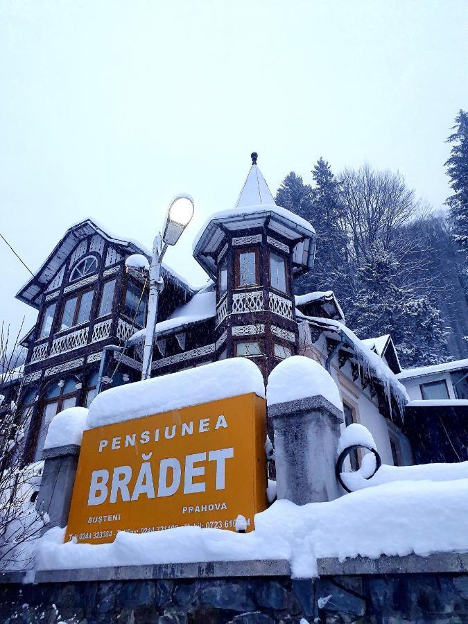 Vila Bradet Busteni Exterior photo