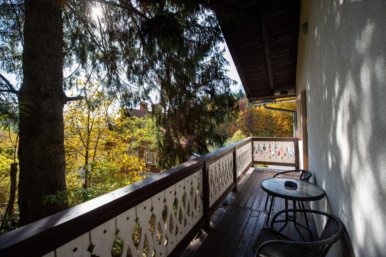 Vila Bradet Busteni Exterior photo