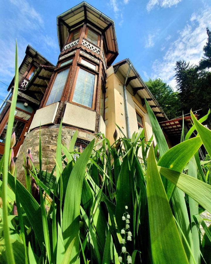 Vila Bradet Busteni Exterior photo